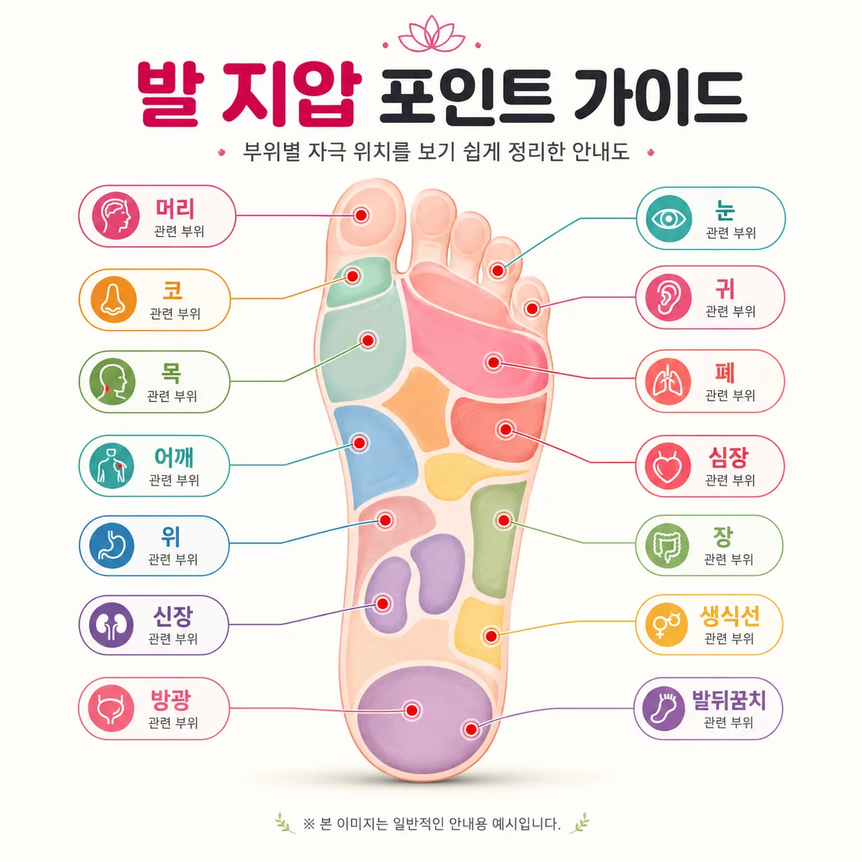 발 지압 포인트 가이드 — 머리, 코, 목, 어깨, 위, 신장, 방광, 눈, 귀, 폐, 심장, 장, 생식기, 발뒤꿈치